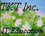SEO�@�����G���W���œK��