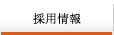 �l�ޕ�W�ƍ̗p