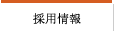 �l�ޕ�W�ƍ̗p
